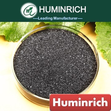 Huminrich Organic Fertilizer From Mexico