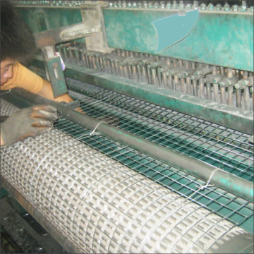 Stainless steel and galvanized crimped wire mesh