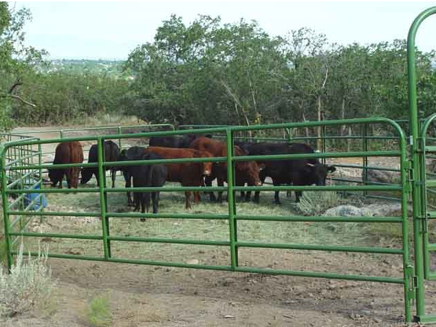 metal fence panels Temporary fence used chain link fence for sale