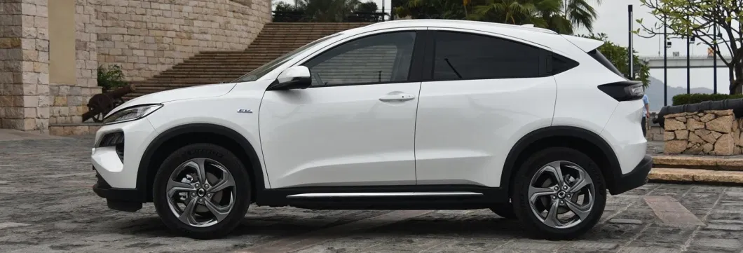 Remote Unlocking of New Electric Car SUV Fast Charging Electric Car M-Nv
