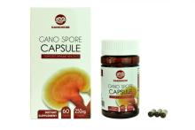 health care ganoderma lucidum polysaccharide powder capsule