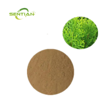 Platycypress leaf extract powder