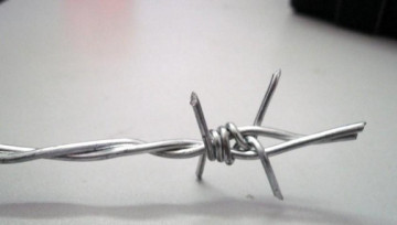 electro galvanized barbed wire