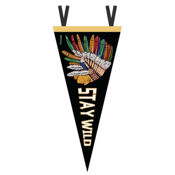 Sunshine Wholesale Custom Triangle Felt Pennant Flags for Camp