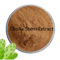 Buy online active ingredients Cholla Stem Extract powder