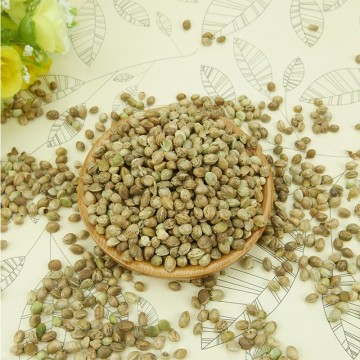 food grade big size hemp seeds for oil