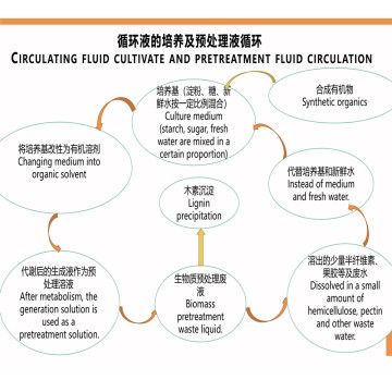 Biomass Pulping Rice Straw Pulping Machine