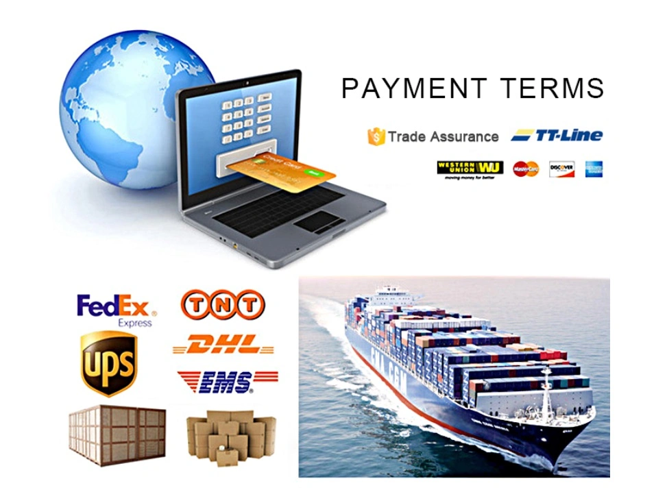 payment term payment term