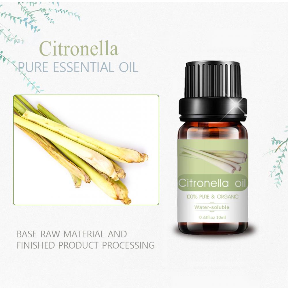 Therapeutic Grade Citronella Essential Oil For Skin Care