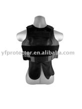 Ballistic Vest