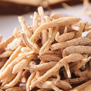 korean red ginseng root