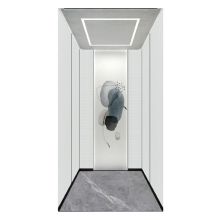 Minimal light luxury villa elevator