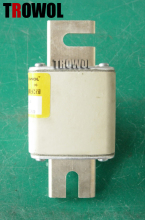Semiconductor Fuse (NGT1)