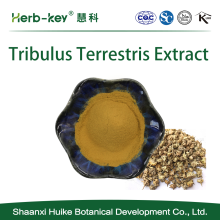 Tribulus Terrestris Extract 100 Organic Pure Natural