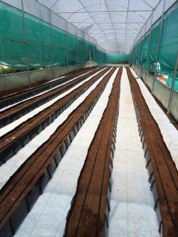 UV protection hydroponic poly film for greenhouse