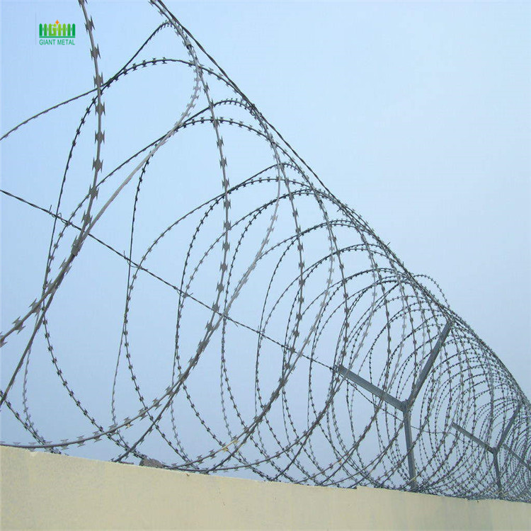 Razor wire prison fence