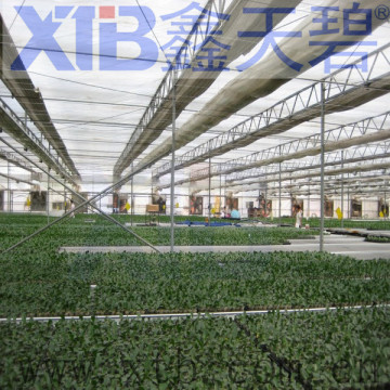 Venlo greenhouse galvanized steel frame greenhouse