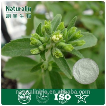 Stevia leaf Extract steviosides 90%,Stevia Extract 97%RA