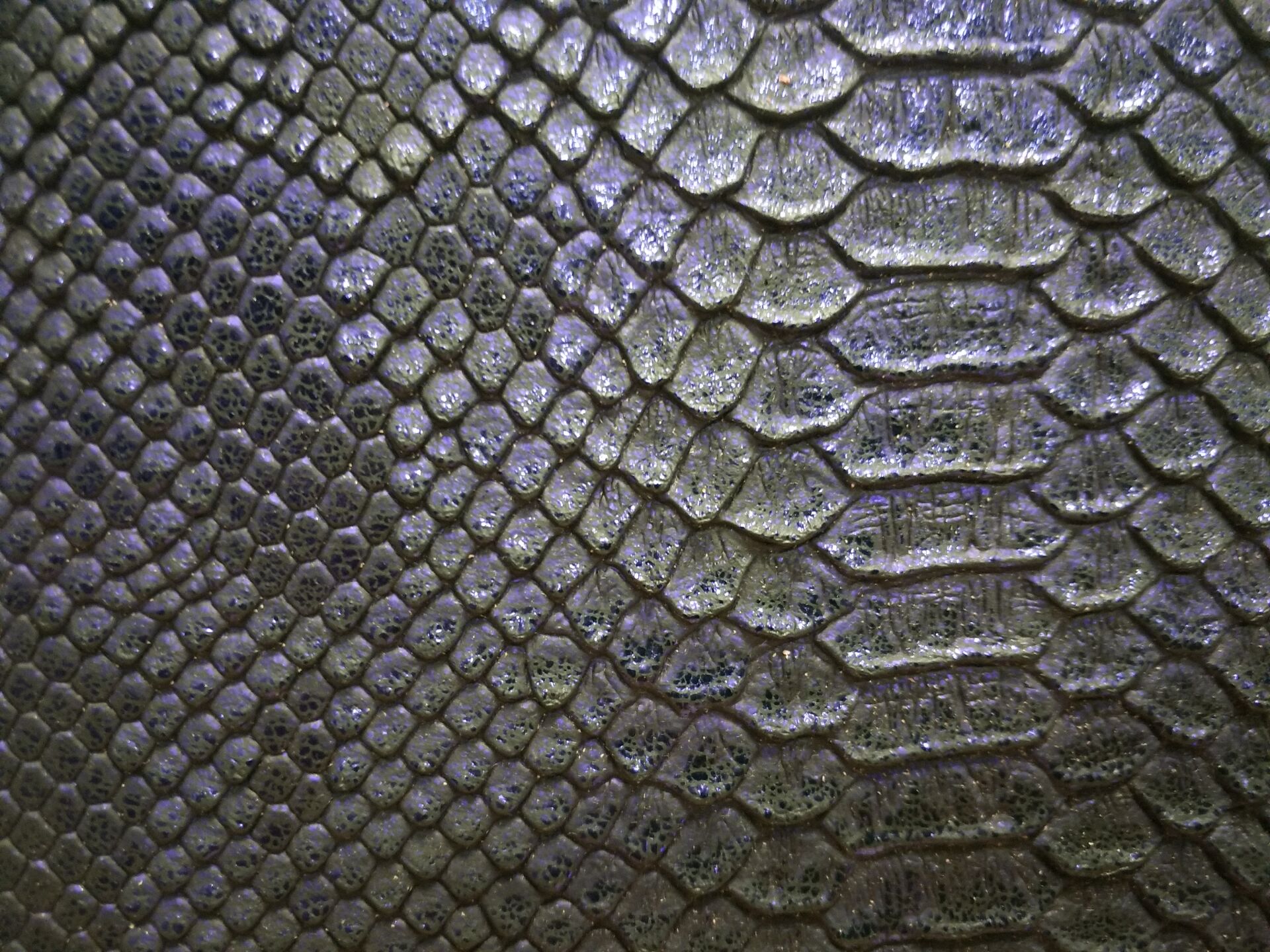 Snake Python Print für Schuhe Snake Python Print for Shoes