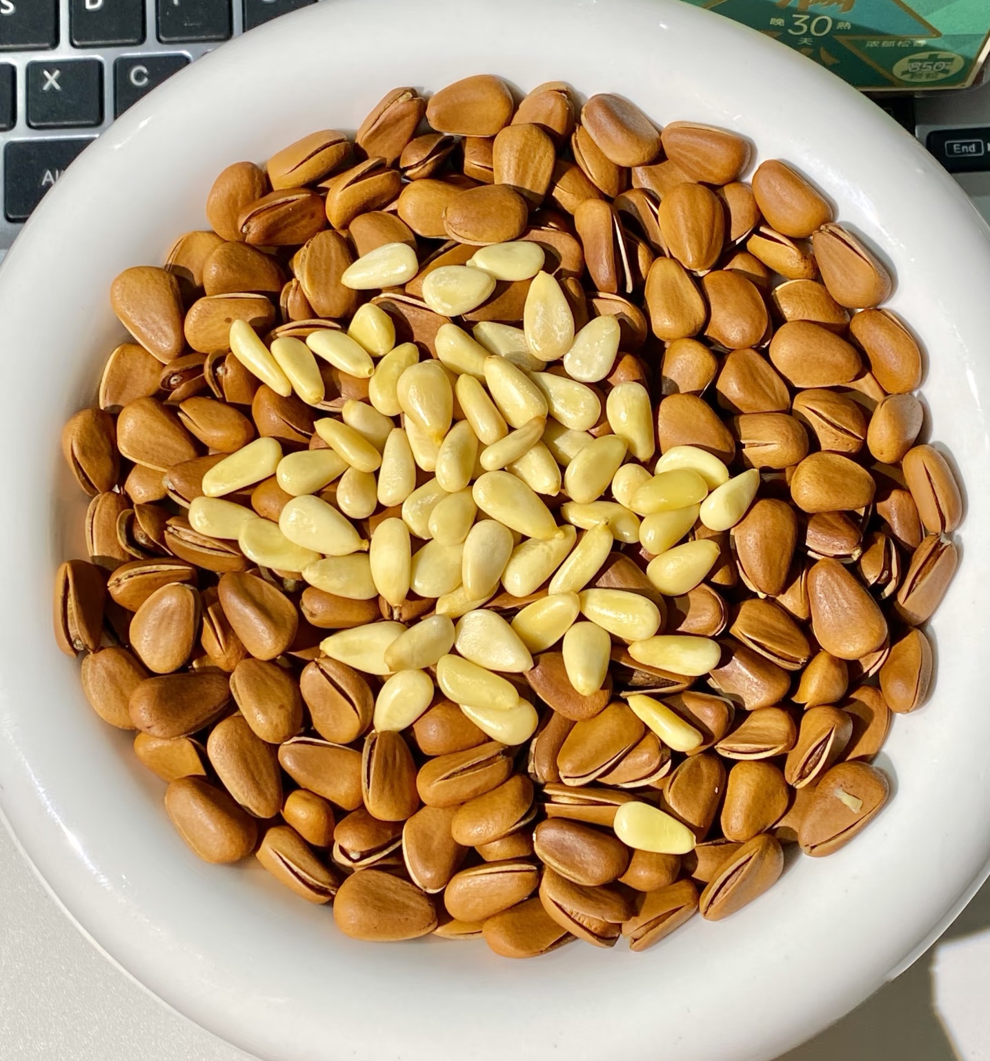 Delicious Pine Nuts Delicious Pine Nuts
