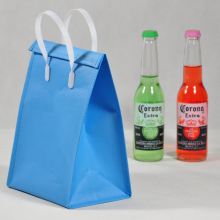 icecream cooler bag/deluxe insulated lunch box cooler bag/small beer cooler bag
