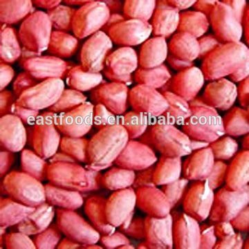 Red Skin Peanut kernel