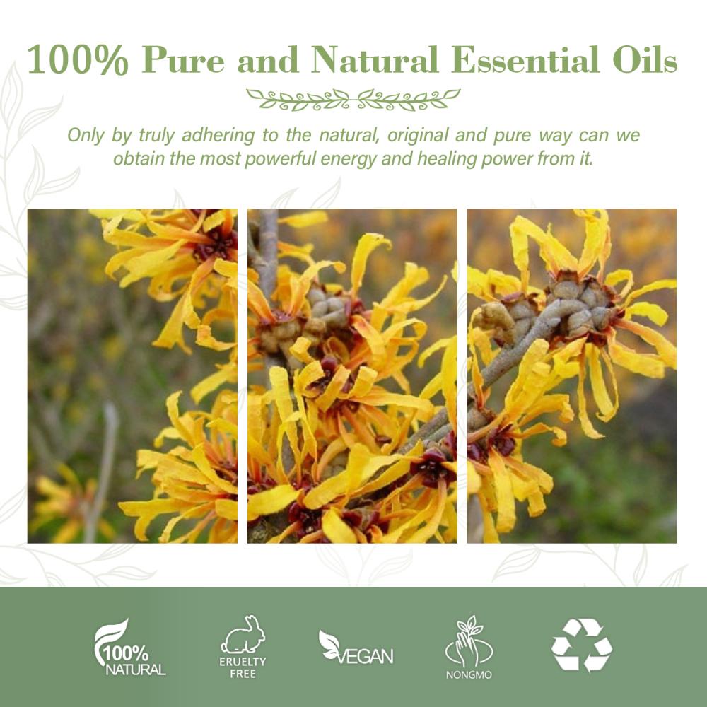 Bulk Wholesale Pure Witch hazel Essential Oil For Shrink pores