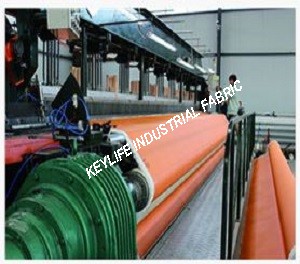 Polyester Dryer Screen of Paper Machine Clothing