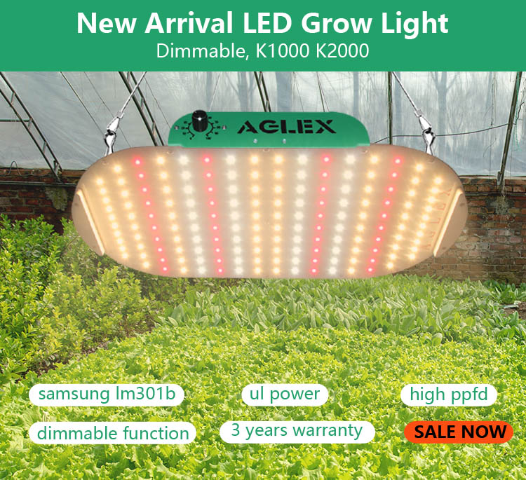 โรงงานแสงไฟมืออาชีพกันน้ำ 100W LED Grow Light