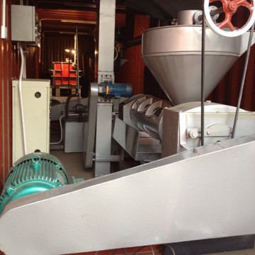 Jatropha Seeds and Kernel Oil Expeller (6YL-165)