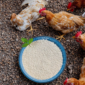 Dicalcium Phosphate (DCP) granular 18%