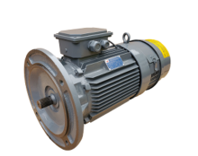 Luffing Motor for Tower Crane