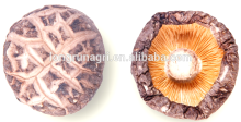 Japan Standard Tea Flower Shiitake Mushroom For Japanese Cuisine