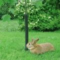 Reticolato dell&#39;albero del giardino espulso plastica