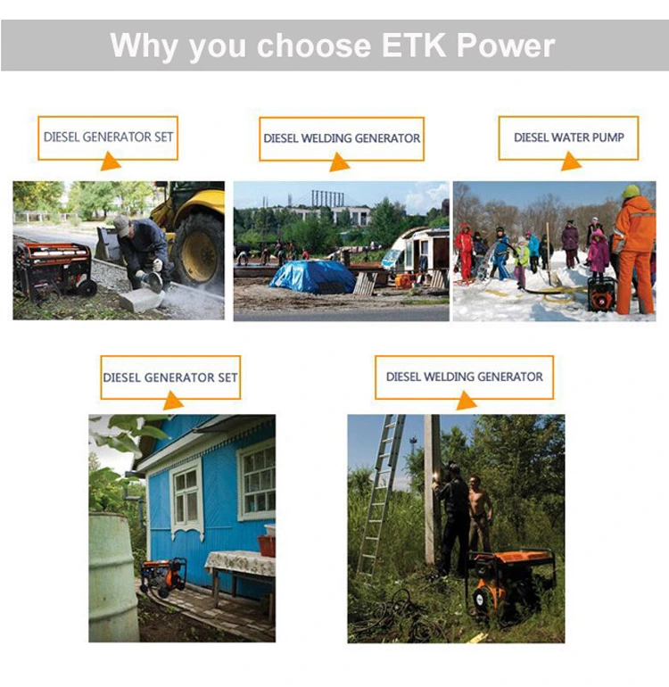 Open Frame 5kw Home Use Diesel Power Generators (DG6LE)