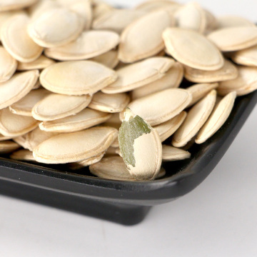 mongolia pumpkin seeds roasted