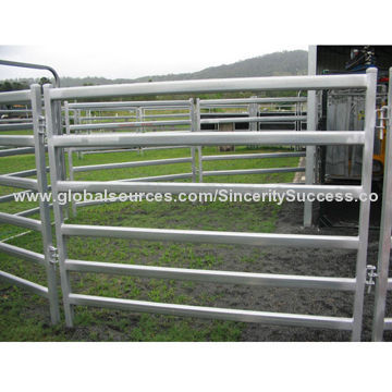 Cattle yard, powder coating, competitive quotation