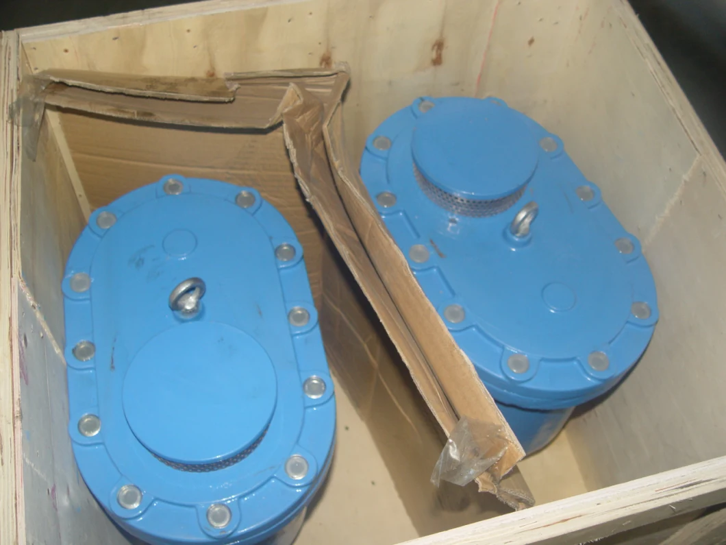 Combined Air Vent Valve
