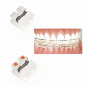 Orthodontic Composite Bracket