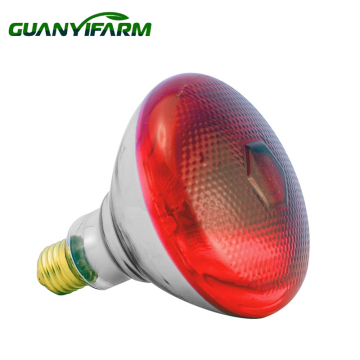 Guanyifarm 250W Infrared Lighting for Poultry Farms