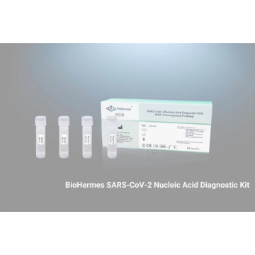 Dosaggio RT-PCR quantitativo per SARS-CoV-2