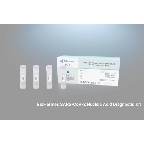 SARS-CoV-2の定量的RT-PCRアッセイ