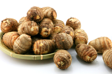 selected quality chinese fresh taro