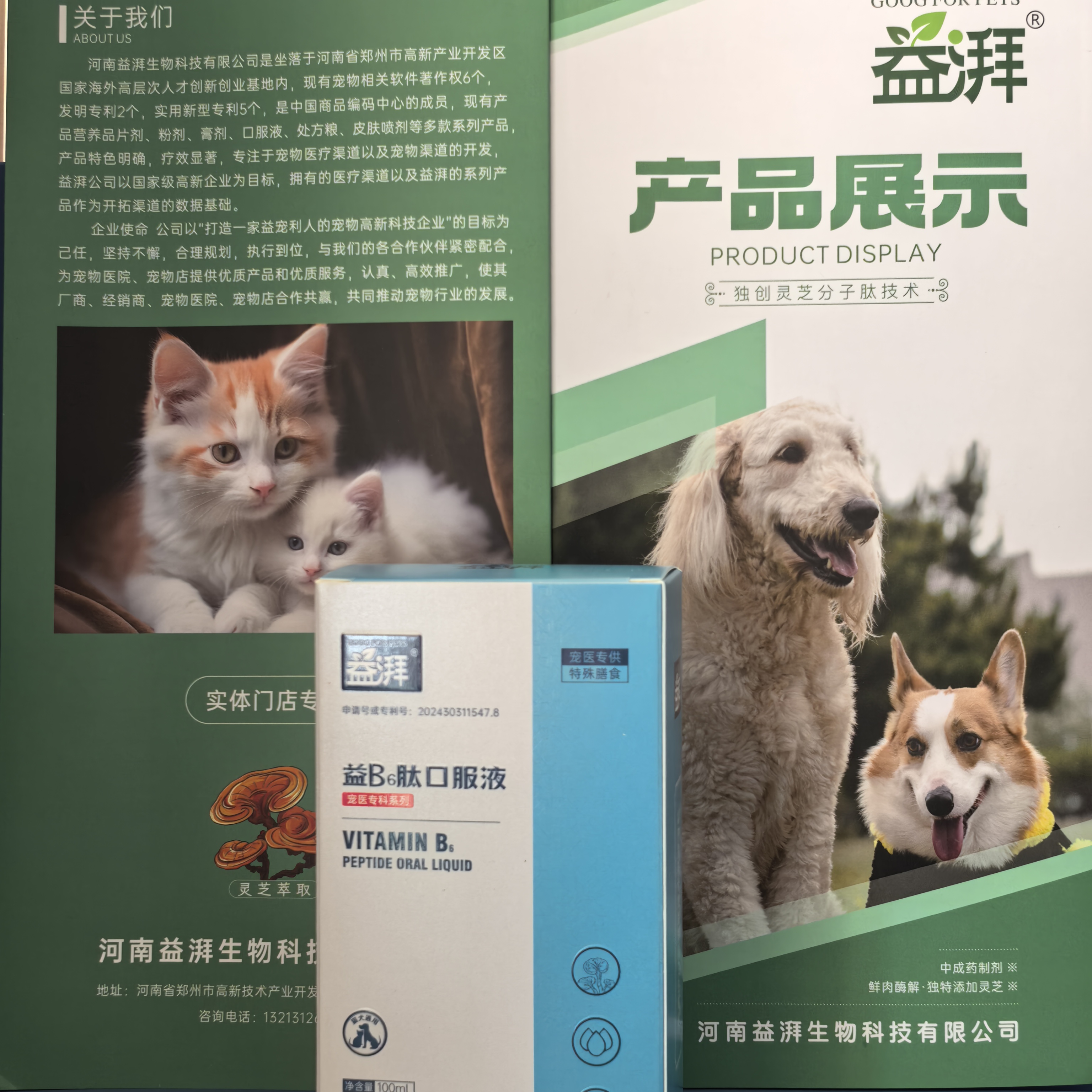 Cogumelo Reishi com Vitamina B6 para Animais de Estimação1 Reishi Mushroom with Vitamin B6 for Pets1