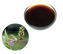 Pure Psoralea alba extract organic bakuchiol oil