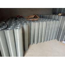 Galvanized/PVC Coated Welded Wire Mesh