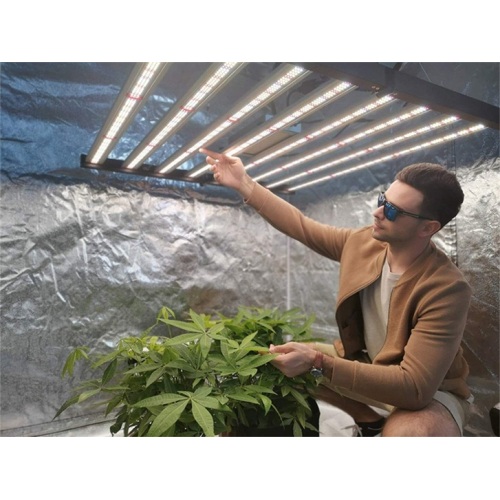 640 watts de luz led branca para plantas de interior