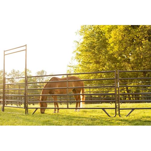 Painéis de vedação de cavalo de tubo galvanizado de melhor qualidade