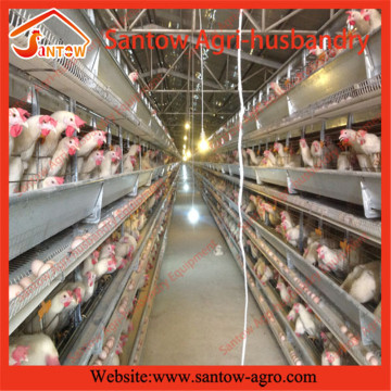 Automatic chicken egg layer cage poultry cages chicken layer cages size for Kenya farm