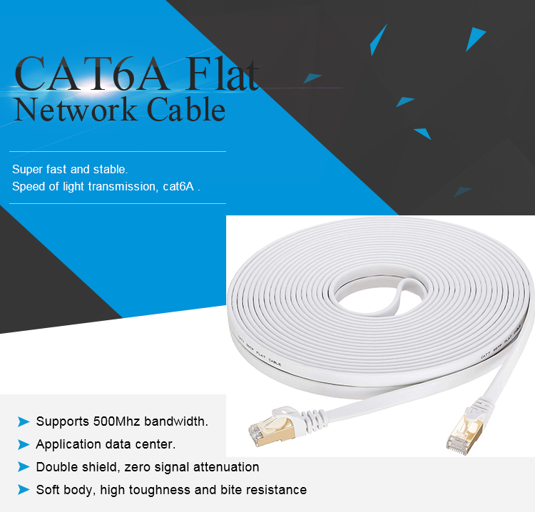 Cat6a Ethernet Cable